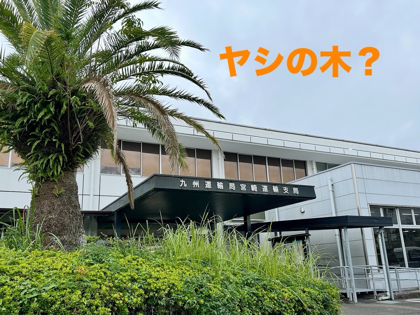 ファイル 4015-2.jpg